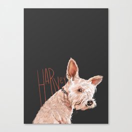 Harvey the Rabbit Dog Canvas Print