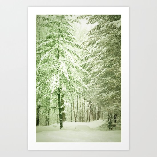 Winter Pine Trees Art Print