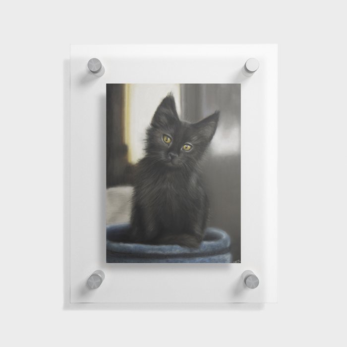 Black Kitten Floating Acrylic Print
