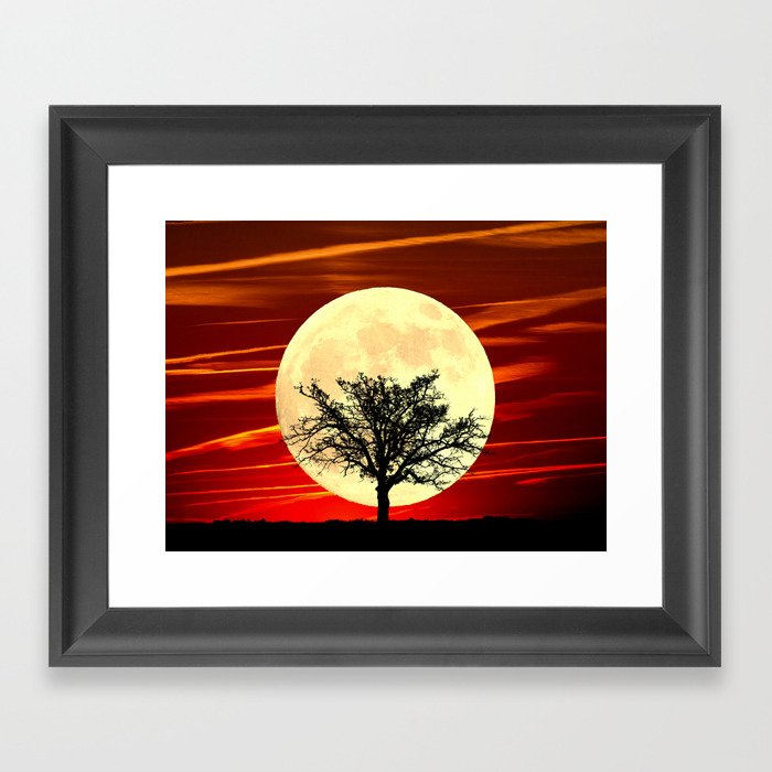 Contemporary Tree Full Moon Red Sky Decor Art A484 Framed Art Print
