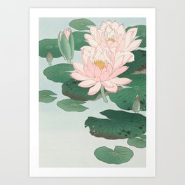 Water Lilies - Japanese Vintage Woodblock Print Art Print