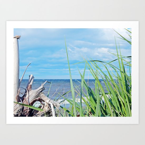 Through Grass and Driftwood Art Print