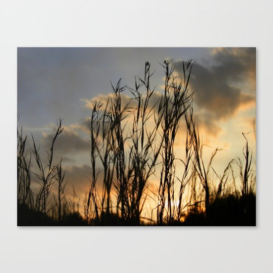 Last Light Canvas Print