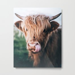 scottish highlander Metal Print | Scottishhighlander, Scottish, Highland, Highlander, Flodees, Highlandcattle, Cow, Netherlands, Amsterdam, Mountains 