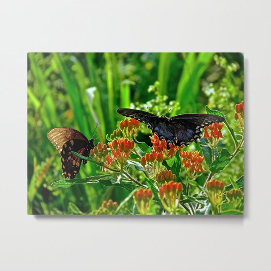 Double Landing Metal Print