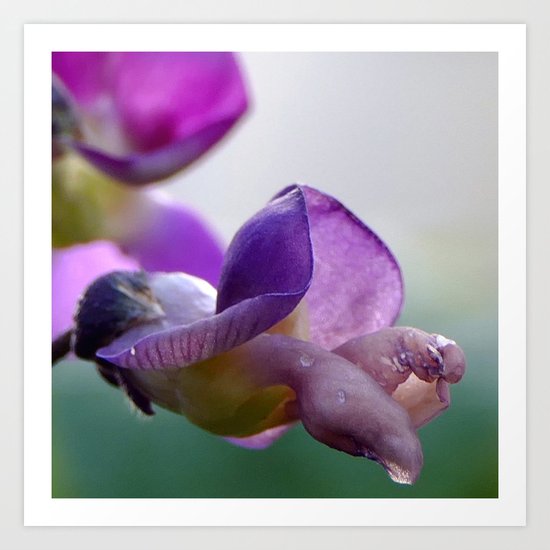 Beans I Art Print