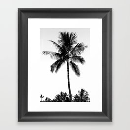 Tropical Darkroom #11 Framed Art Print