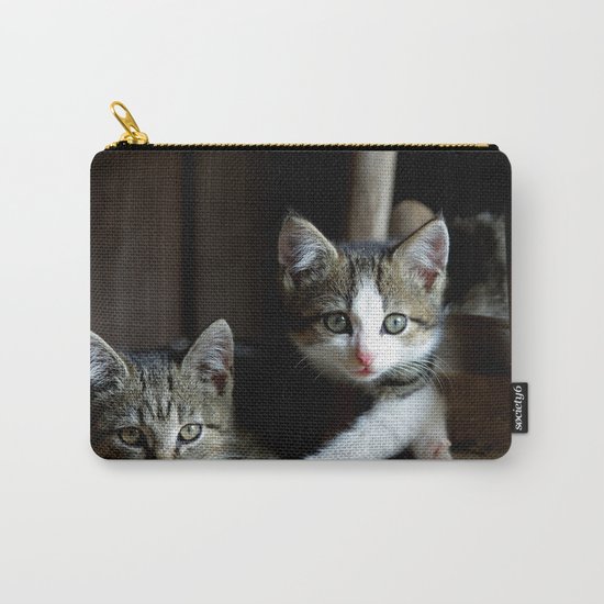 A small cats dream team in the siesta Carry-All Pouch