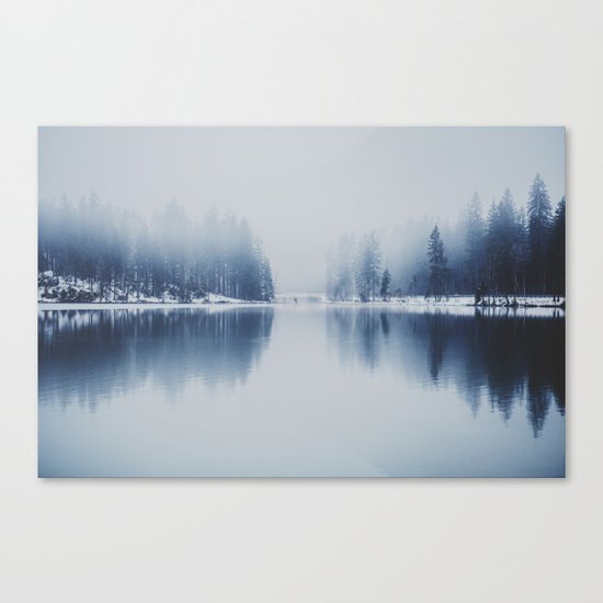 frozen world Canvas Print