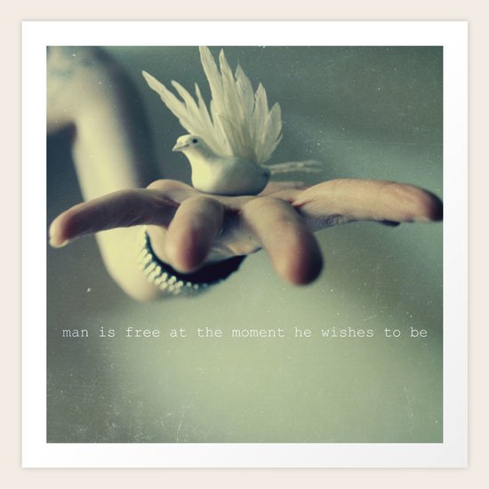 you are free Art Print