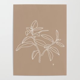 Branch (White and Brown)  Poster