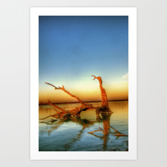 Tree In Water Art Print