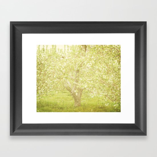 Cherry Tree Framed Art Print