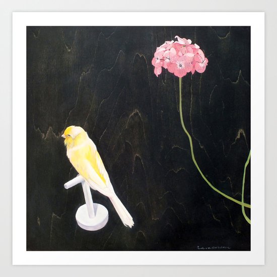 Perch l Art Print