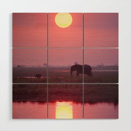 Elephants in the Sunset by Water Wood Wall Art