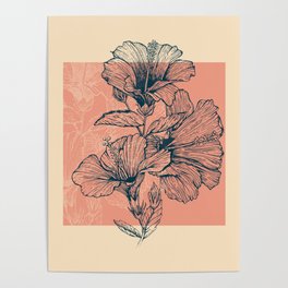 Hibiscus Colors Poster