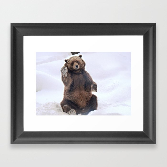 Grizzly bear - Say Hello Framed Art Print
