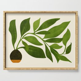 The Wanderer - House Plant Illustration Serving Tray