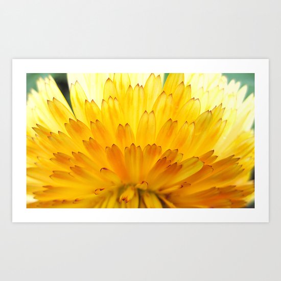 Overwhelming Beauty Art Print