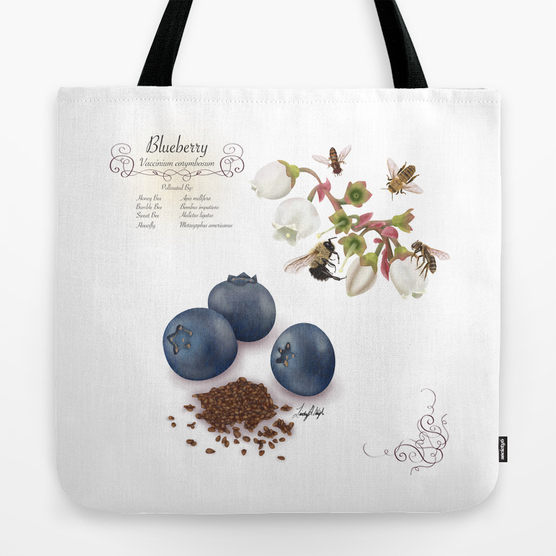 blueberry bag