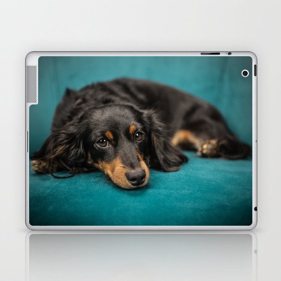 Dachshund Laptop & iPad Skin