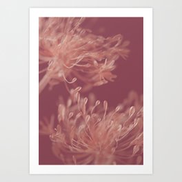 Flower Abstract Red/Pink Art Print