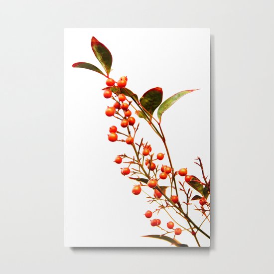 A Fruitful Life Metal Print