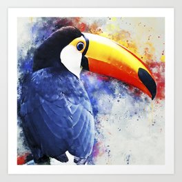 Toucan  Bird Animal Wildlife Forest Nature Discovery Fauna Art Print | Species, Environment, Jungle, Life, Explore, Bird, Adventure, Forest, Instinct, Nature 