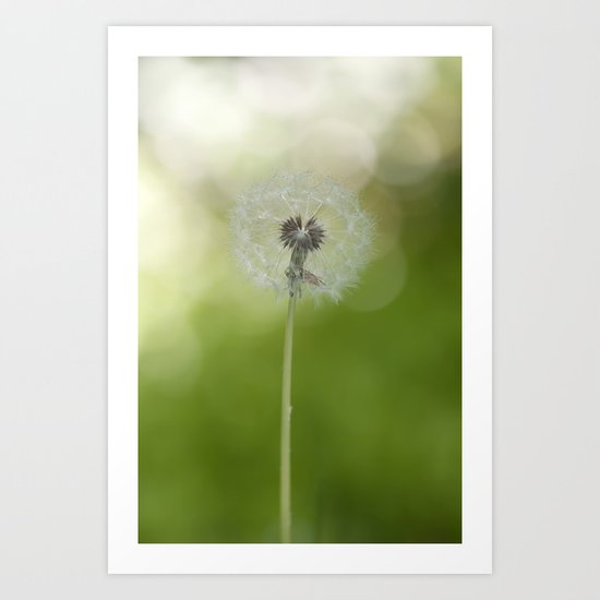 Dandelion in LOVE- Flower Floral Flowers Spring on #Society6 Art Print