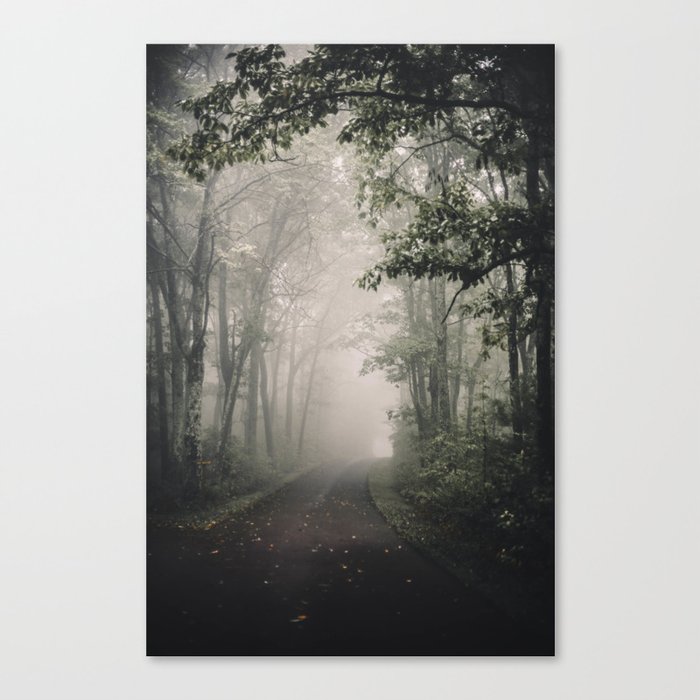 Foggy Pathway Canvas Print