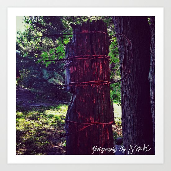 Wrapped Art Print