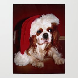 Santa Cavalier Spaniel Puppy Poster