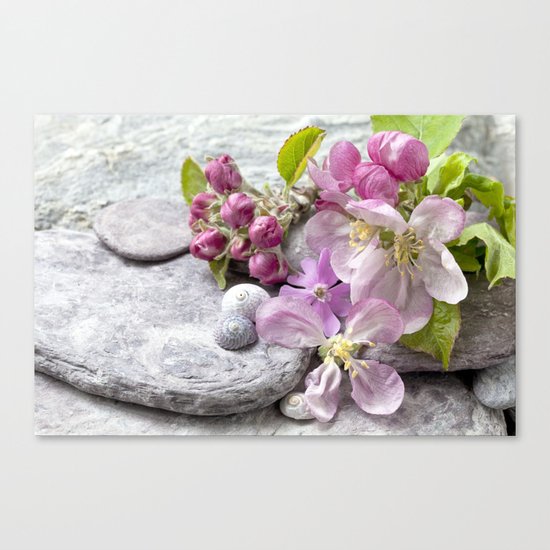 Appleblossom and shell still life Canvas Print