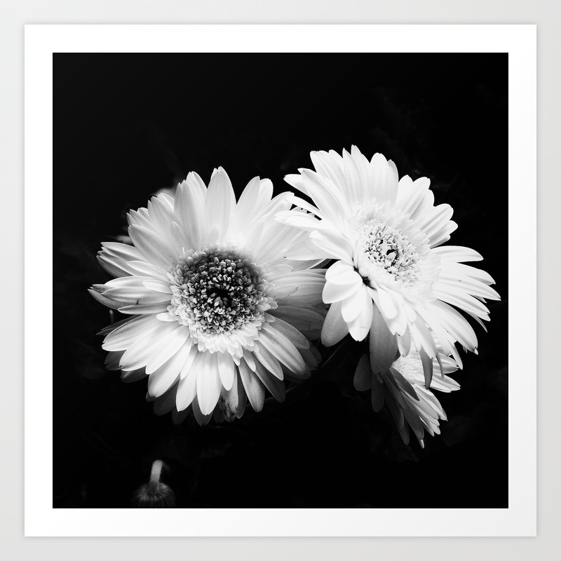 Flowers In Black And White Nature Vintage Photography Art Print By Staypositivedesign Society6