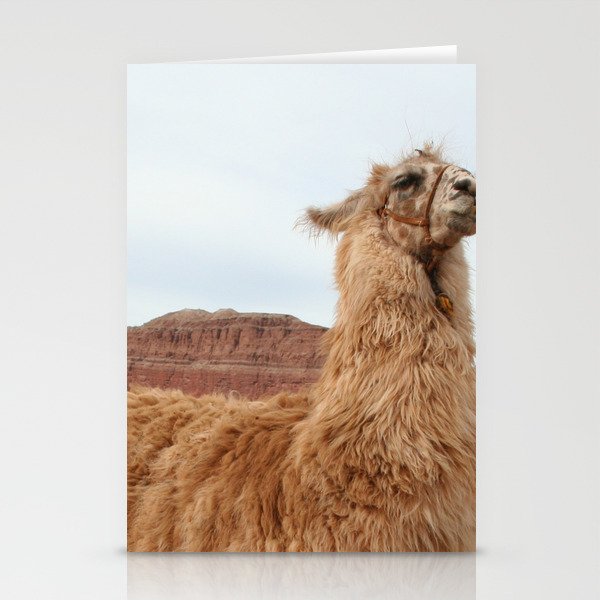 Argentina Photography - Llama In The Mountain Filled Desert Stationery Cards