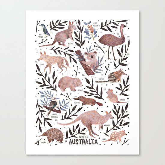 Animals of Australia Field Guide Canvas Print