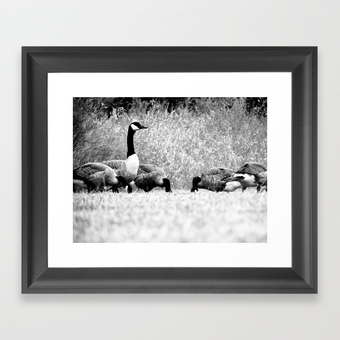 Geese Framed Art Print