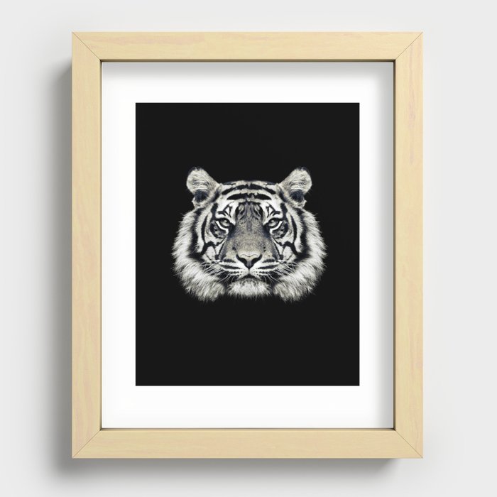 Tiger Portrait Recessed Framed Print