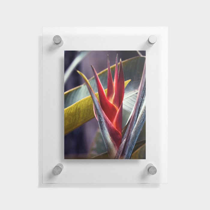 Exotic Beauty With Palm Leaves Floating Acrylic Print