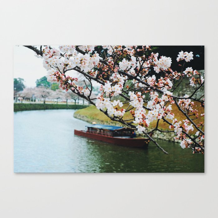 Blossom Canvas Print