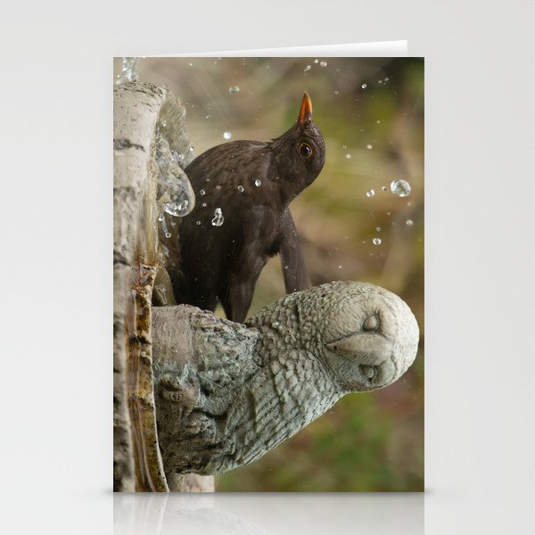 Bird bath Stationery Cards