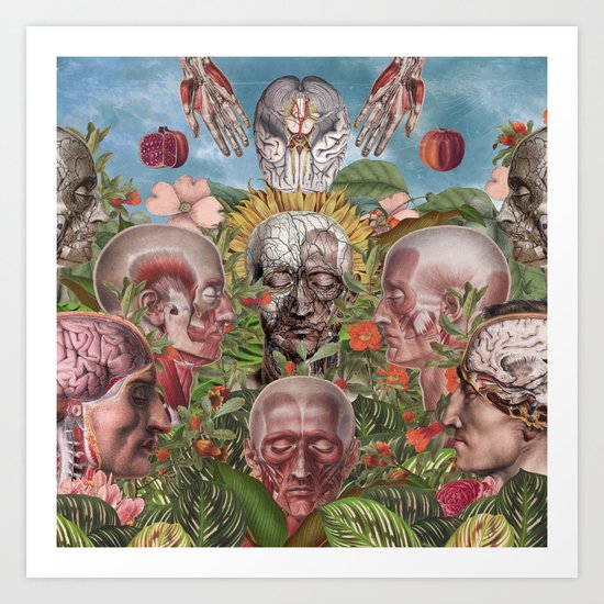 Coronation Art Print