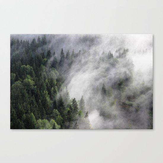 Immersion Canvas Print