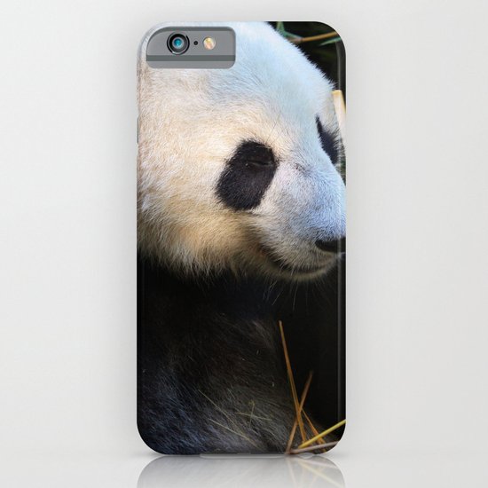 Panda Nap iPhone & iPod Case