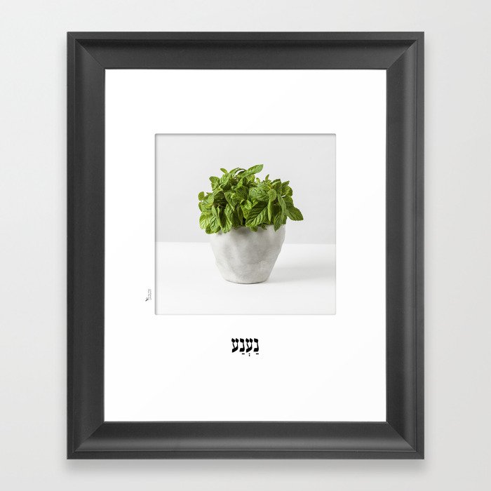 Mint herb planter poster for the kitchen with hebrew name Framed Art Print