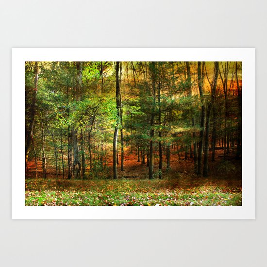 Autumn Sunset - In The Woods Art Print