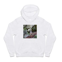 Rocky hideaway Hoody | Squamish, Canada, Stawamus Chief, Photo, Forest, Hideaway, Mountains, Nature, Hiking, Rocks 
