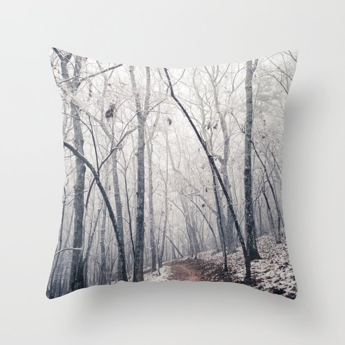 Winter Path (Color) Throw Pillow
