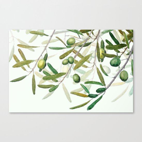 Green Olive watercolor painting Canvas Print