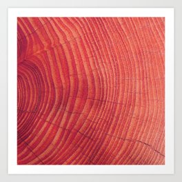 Red wood Art Print